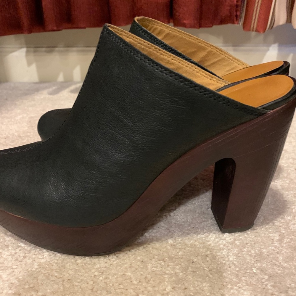 Lucky Brand LK-Collie